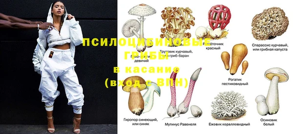 стафф Белоозёрский